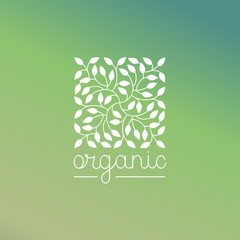 Vector organic and natural emblem and logo design template - green ecology concept or natural cosmetics - square made with leaves
