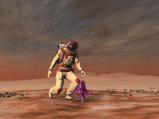 Astronauta encontrando una planta en otro plaenta © anibal