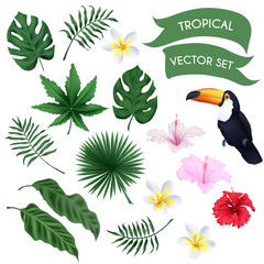 vector tropical set