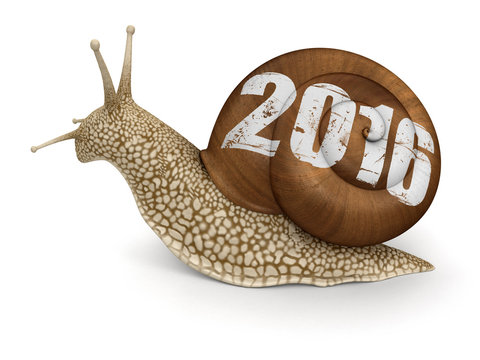 Snail 2016 (clipping path included)