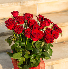 bouquet of blossoming dark red roses
