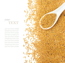 Mustard seeds over white 