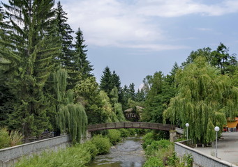 View toward river with bridge and highly varied plant, Chepinska reka, Velingrad, Pazardzhik  province, Bulgaria  