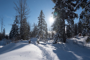 Mountain trail covered with snow and large snowdrifts