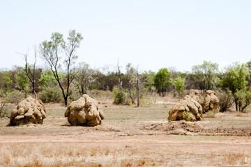 Termite Mounds - Australia