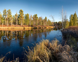 panorama of scenic landscape of Siberian nature