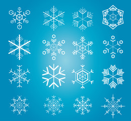 Fototapeta premium Snowflake collection of 16 specimen
