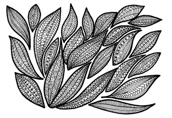 Zentangle leafs in black