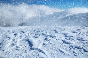 Beautiful winter landscape with falling snow.