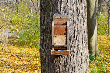 Vogelhäuschen am Baum