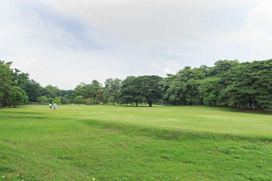 Pleasant Green Background