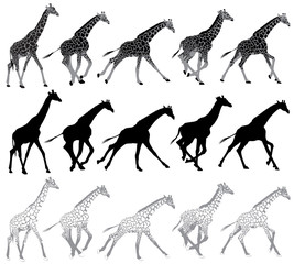 Set of running and walking giraffes