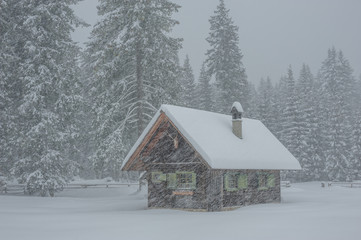Small house in snow storm - Pokljuka, Slovenia.