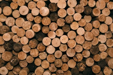 Möbelaufkleber дрова © irinanillu