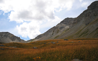 Fototapeta na wymiar national park Mercantour