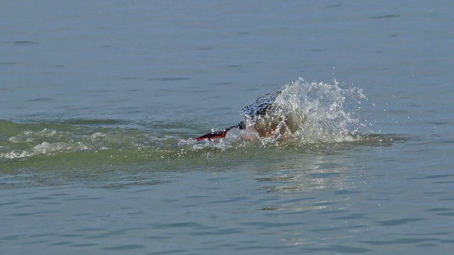 Muscular swimmer in the sea
