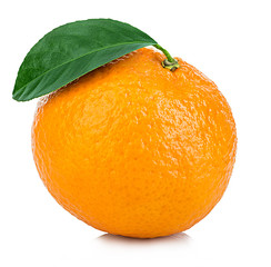 Ripe mandarin with leaf close-up on a white background. Tangerine orange with leaf on a white background.