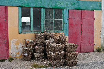 Saint-Trojan-les-Bains (Charente maritime)