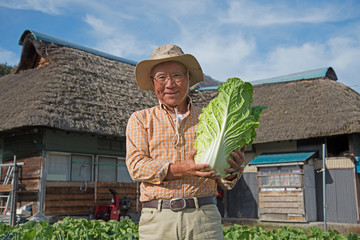 田舎暮らしで野菜を収穫している笑顔のシニア