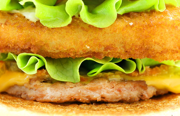 Burger with meat