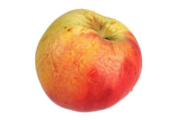 wrinkled apple, isolated on white background