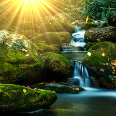 Smoky Mountain stream with mossy rocks