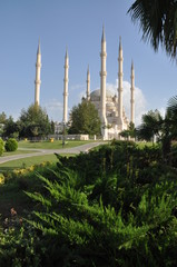 Fototapeta premium camii mosque