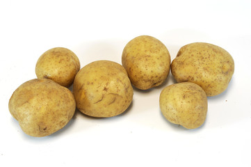 potato on white background
