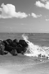 Saint Pierre d'Oléron (Charente maritime)