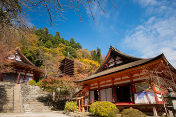 Obraz premium Tanzan(shrine),autumn, nara(prefectures),japanese traditional temples and shrines（奈良＿談山神社）