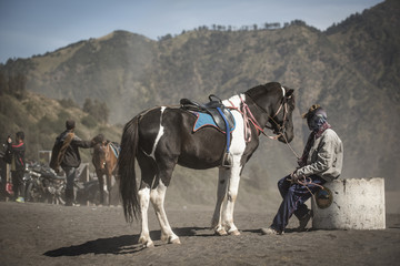 Horse rider on desert near Bromo Mountain Java ,Indonesia.