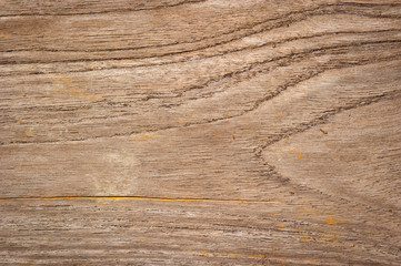 Dark wood texture. Abstract background