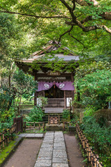 秋の鎌倉　円覚寺　黄梅院
