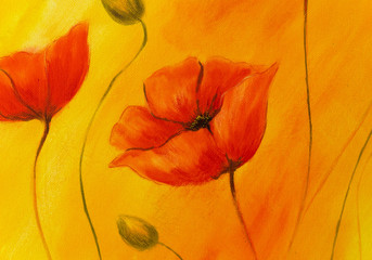 Red poppy on orange background. Red poppies. Red flower on abstract color background