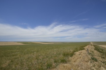 Vast prairie and open space countryside