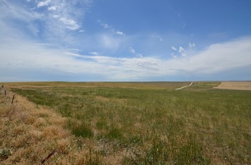 Fototapeta na wymiar Vast prairie and open space countryside