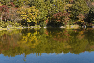 紅葉を映す池