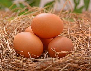 Place the eggs in a hay stack wood floors