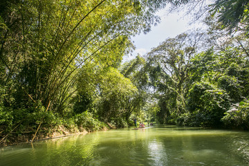 The view of Martha Brae river with a raft in a background.