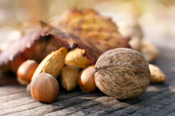 autumn nuts