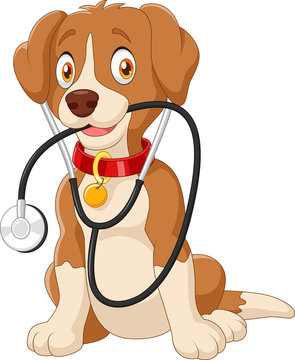 Cute Dog Sitting With Stethoscope