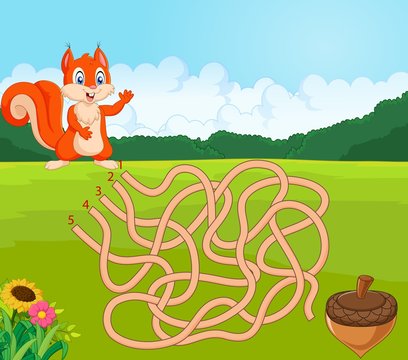 Help squirrel to find way to pinecone in the maze game