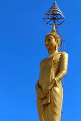 Fototapeta premium buddha state and blue sky background