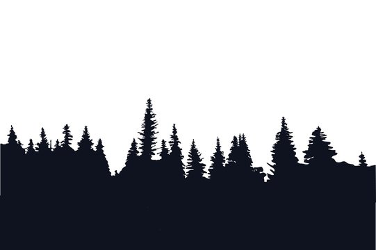 Forest silhouette 