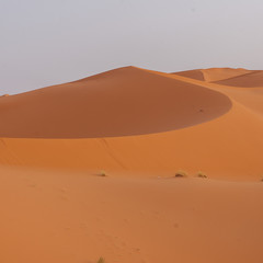 Erg Chebbi in Morocco