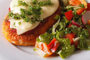 Chicken Parmigiana and fresh salad macro. Horizontal

