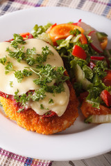 Chicken Parmigiana and vegetable salad closeup. vertical
