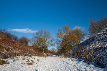 Fototapeta na wymiar Snowy Xmas Landscape