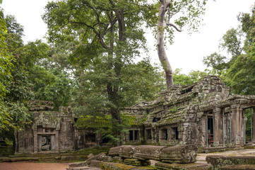 Fototapeta na wymiar Ta Prohm temple area near Angkor Wat in Cambodia.