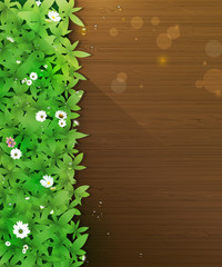 Vector illustration Spring nature background. Green grass and leaf plant, White Gerbera, Daisy flowers and sunlight over wood floor with water dew drops. Blank space for content or your design